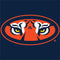 Auburn University Tigers Mascot Wii (Includes 1 Controller) Skin